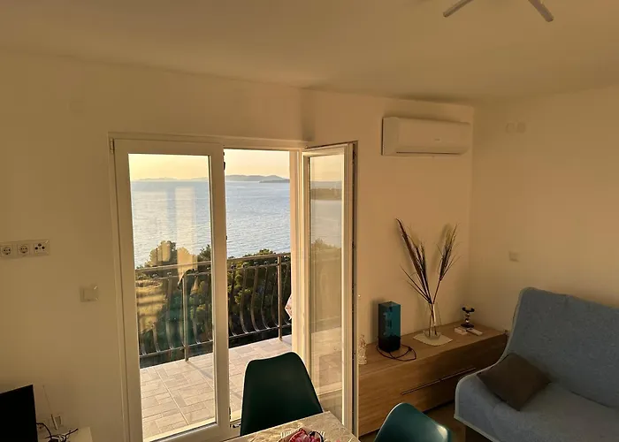 Josip * 普利莫顿